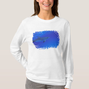Camiseta golfinho pintado do Caribe, Bahamas