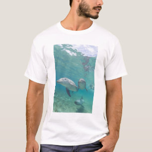 Camiseta Golfinhos-do-garganta Túmulos-tronco