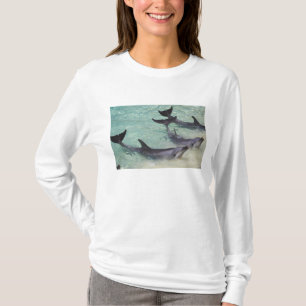Camiseta Golfinhos, Sea World, Gold Coast, Queensland,