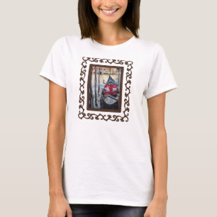 Camiseta Gondola enquadrada pelo ornamentado na Veneza