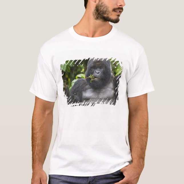 Camiseta Gorila da Montanha e Dorso Prateado (Frente)
