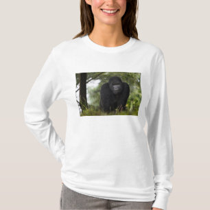 Camiseta Gorila da Montanha e Silverback