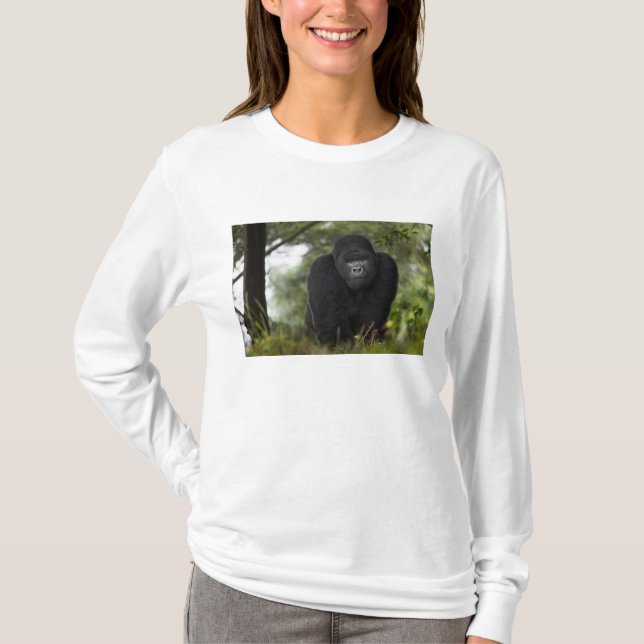 Camiseta Gorila da Montanha e Silverback (Frente)