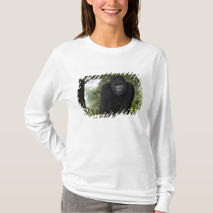 Camiseta Gorila da Montanha e Silverback