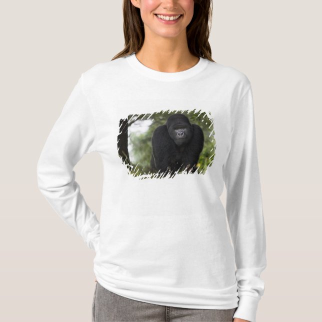 Camiseta Gorila da Montanha e Silverback (Frente)