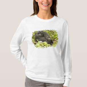Camiseta Gorila-da-montanha, Gorilla beringei (anteriorment