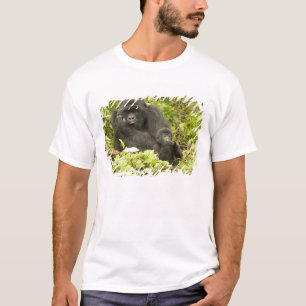 Camiseta Gorila-da-montanha, Gorilla beringei (anteriorment