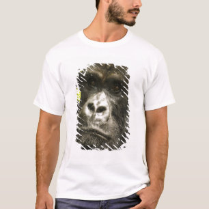 Camiseta Gorila-da-montanha, Gorilla beringei beringei,
