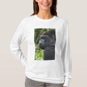Camiseta Gorila-de-costas-silverback, Gorila Cativo