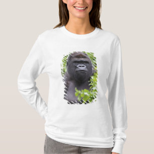 Camiseta Gorila-de-costas-silverback, Gorilla gorilla,