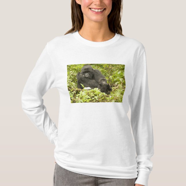 Camiseta Gorila de montanha, Gorilla beringei (anteriorment (Frente)