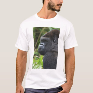 Camiseta Gorila-de-terra-baixa-de-costas-prateadas, Gorila 