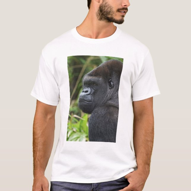Camiseta Gorila-de-terra-baixa-de-costas-prateadas, Gorila  (Frente)