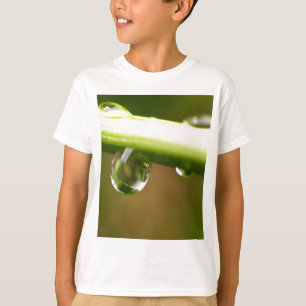 Camiseta gota da água nas folhas