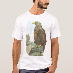 Camiseta Gould - albicilla Branco-Atado de Eagle - de