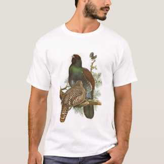 Camiseta Gould - galo silvestre - urogallus do Tetrao