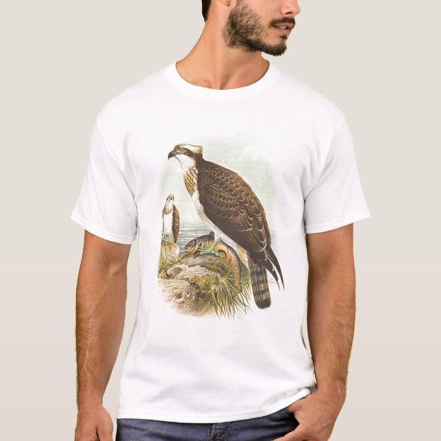 Camiseta Gould - Osprey - haliaetus do Pandion (Frente)