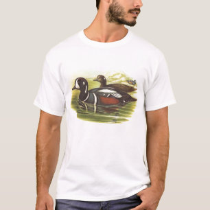 Camiseta Gould - pato do Harlequin - histrionicus de