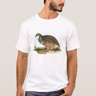 Camiseta Gould - perdiz de patas encarnadas - rufa do