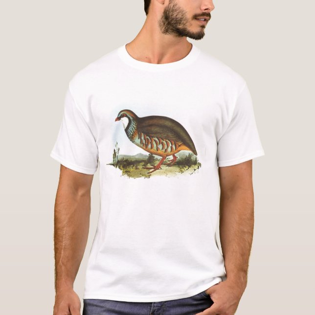 Camiseta Gould - perdiz de patas encarnadas - rufa do (Frente)