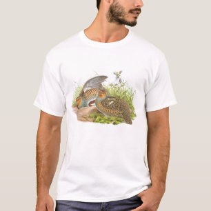 Camiseta Gould - perdiz - perdix do Perdix