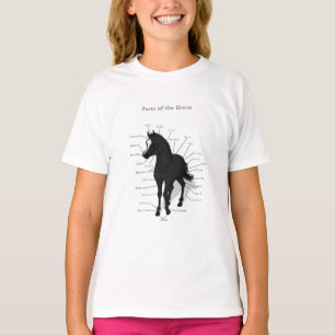 Camiseta Gráfico de Anatomia de Cavalos no Equestre Negro
