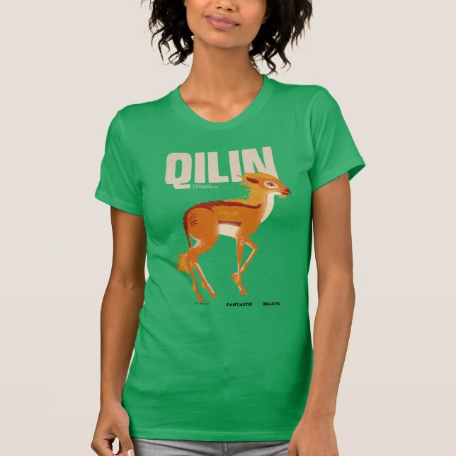 Camiseta Gráfico de Qilin Vintage (Frente)