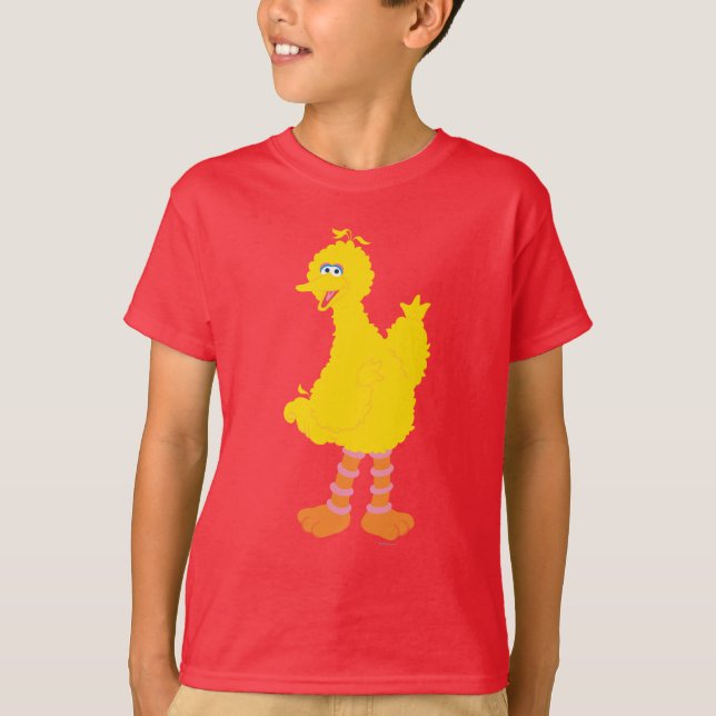 Camiseta Gráficos do Big Bird (Frente)