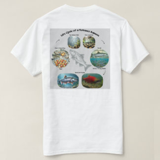 Camiseta Gráficos do Ciclo de Vida do Salmão Kokanee