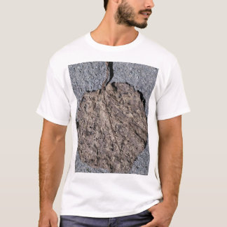 Camiseta Gráficos/ Texturizados