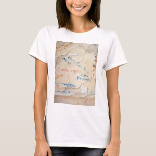 Camiseta Grafites florentinos