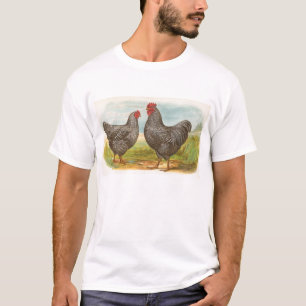 Camiseta Graham - Barred Plymouth Rocks Chickens