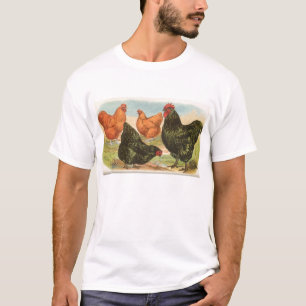 Camiseta Graham - Orpington Chickens