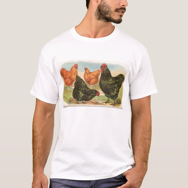 Camiseta Graham - Orpington Chickens (Frente)