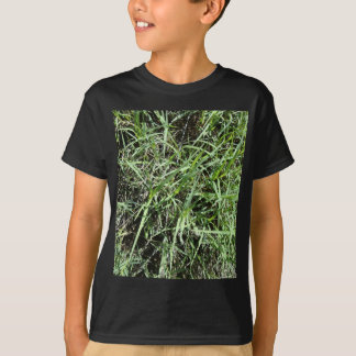 Camiseta Grama