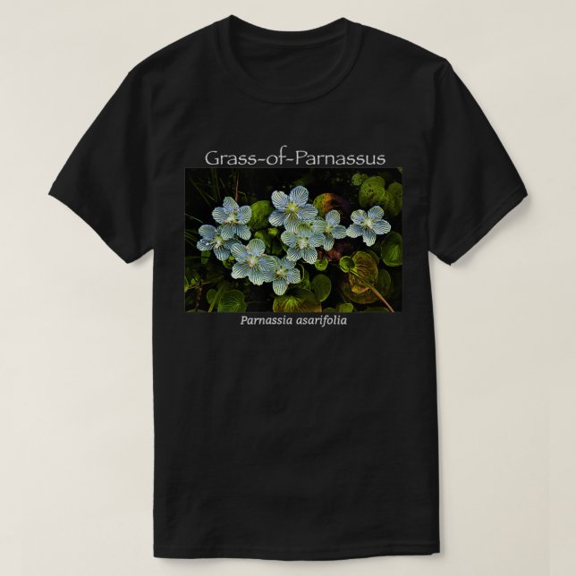 Camiseta Grama de Parnassus Flor Selvagem (Frente do Design)