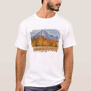 Camiseta Grand Teton NP, Monte Moran e árvores de álamo