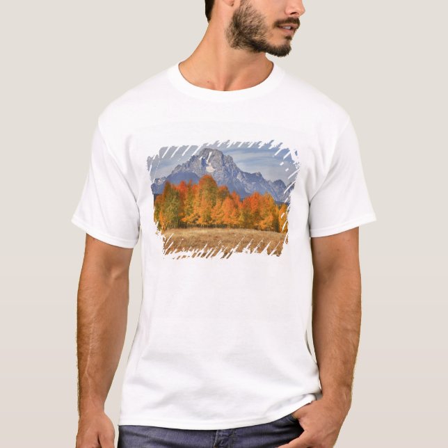 Camiseta Grand Teton NP, Mount Moran e aspen (Frente)