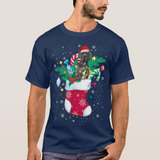 Camiseta Grande Dane Em Sock Luzes De Natal Engraçadas Paja
