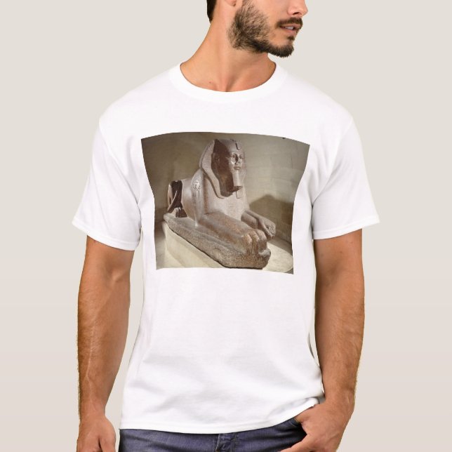 Camiseta Grande esfinge, de Tanis (granito) (Frente)