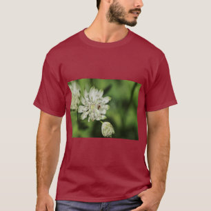 Camiseta Grande Ilustração Botânica de Umbela Estelar