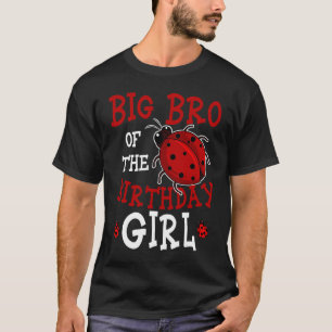 Camiseta Grande Irmão Da Menina De Aniversário, Damybug, Fe