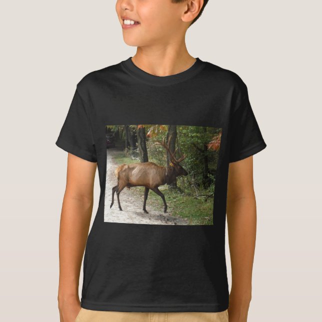 Camiseta Grande Touro Elk com Grande Tambor (Frente)