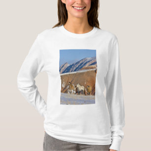Camiseta Grandes Montanhas Horn, Cavalos correndo