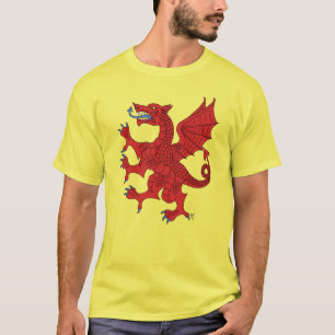 Camiseta Grânulos De Dragão