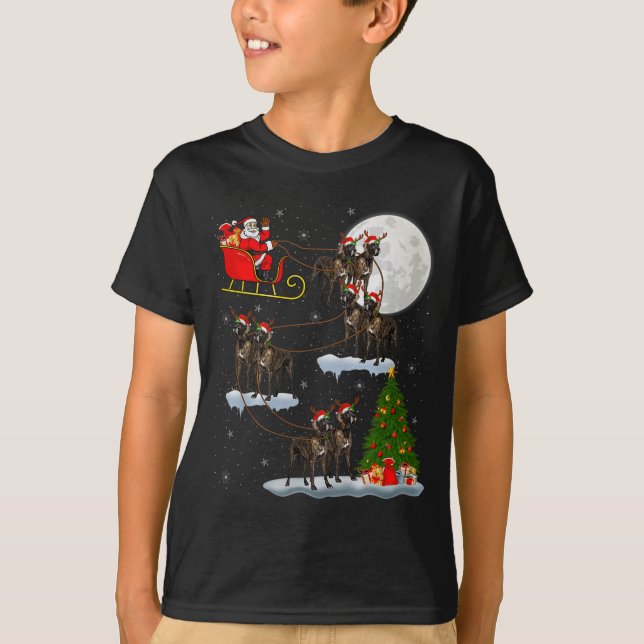 Camiseta Great Dane Dog Santa Sleigh Flying Funny Magical C (Frente)