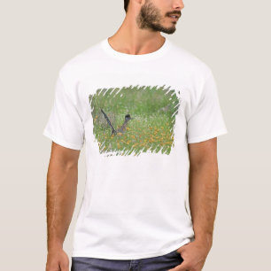 Camiseta Greater Roadrunner, Geococcyx