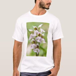 Camiseta Grécia, Creta. Orquídea em flor Orchis