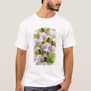 Camiseta Grécia, Creta. Orquídea em flor Orchis