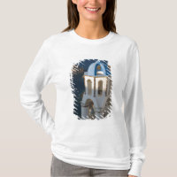 Grécia e ilha grega de Santorini, cidade de Oia 2